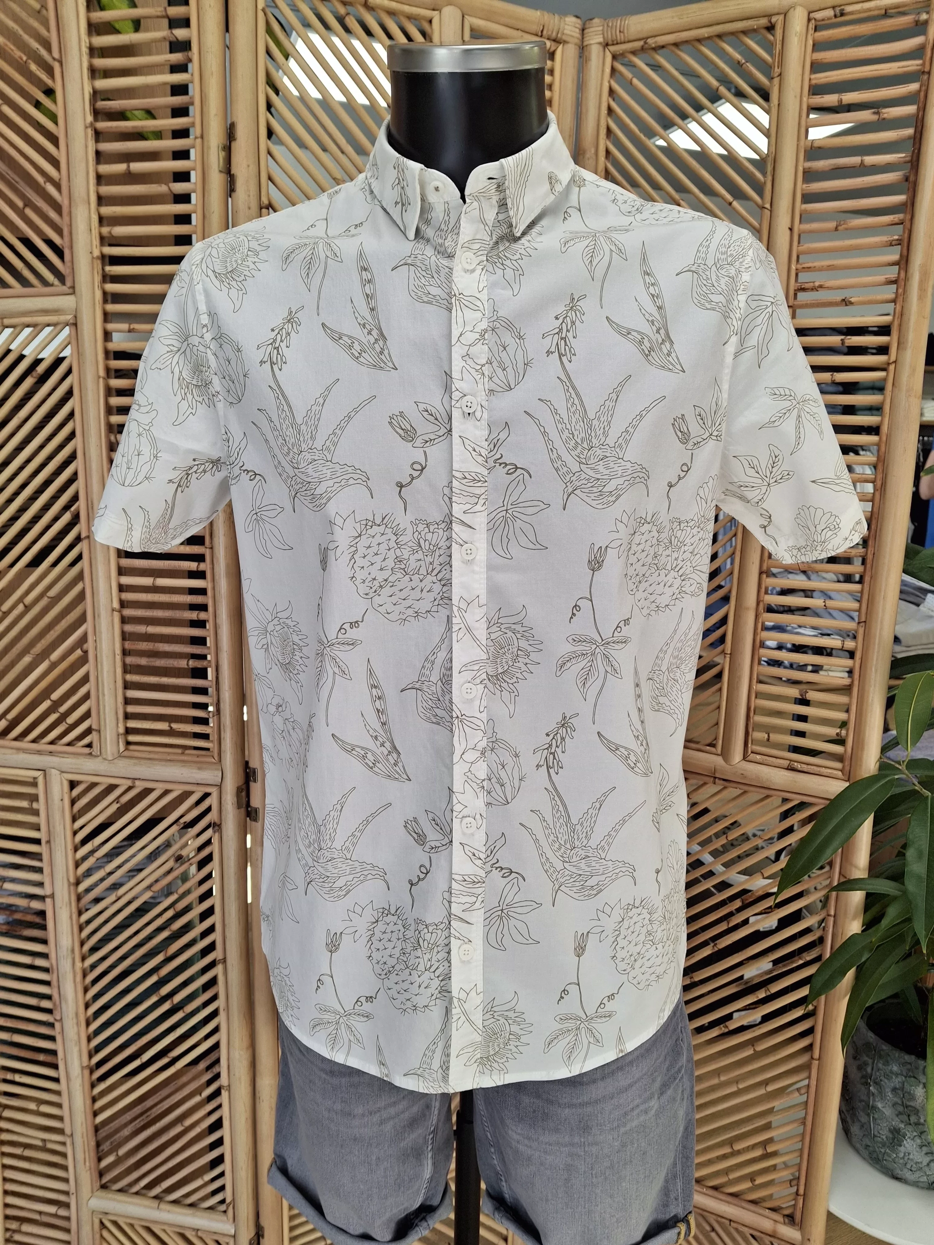 SIS419-26 Chemise MC